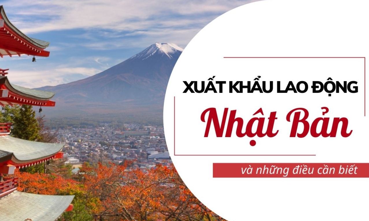 Tư vấn xuất khẩu lao động Nhật Bản